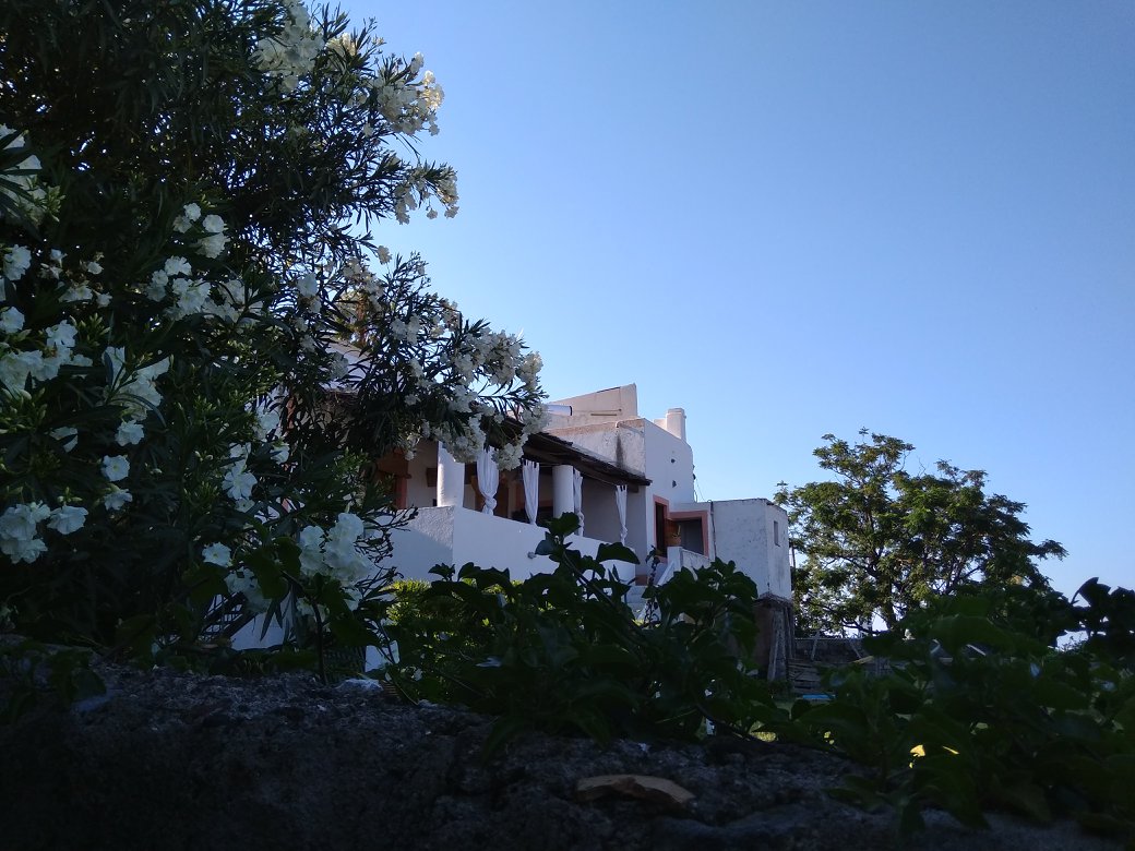 A charming white building is visible among greenery and blooming flowers. The structure features a mix of open and covered outdoor areas. Clear blue skies provide a serene backdrop to the scene, enhancing the natural beauty surrounding the property.