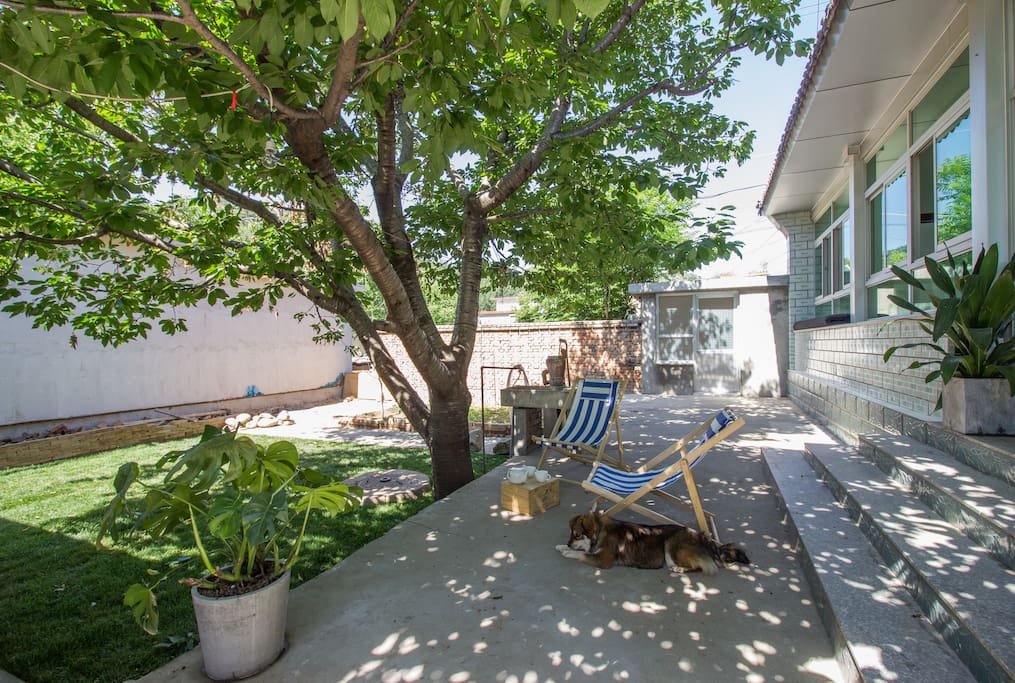 The yard