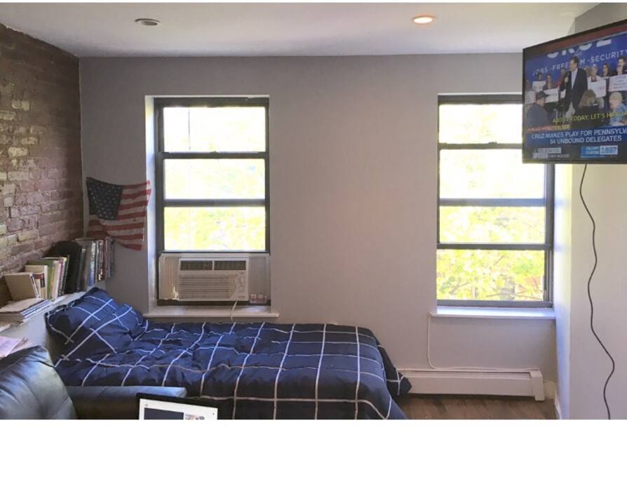 Living Room: Twin Bed, Cable TV, Books, AC and plenty of natural sunlight
