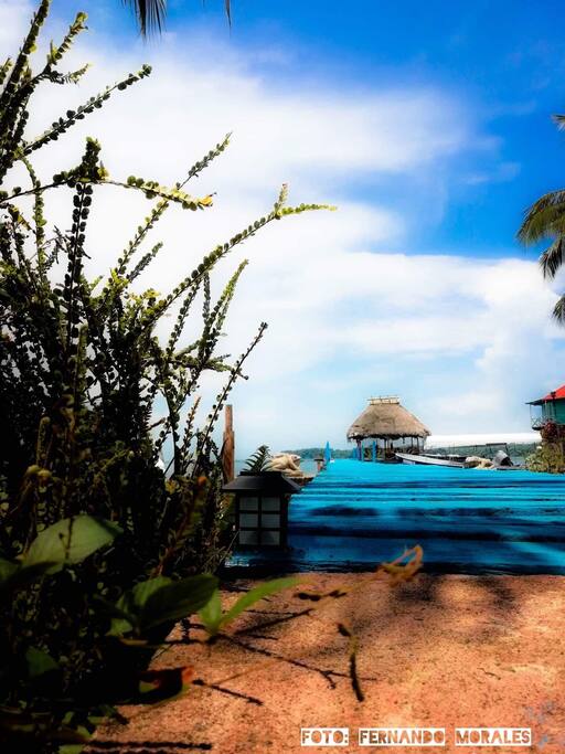 Our dock