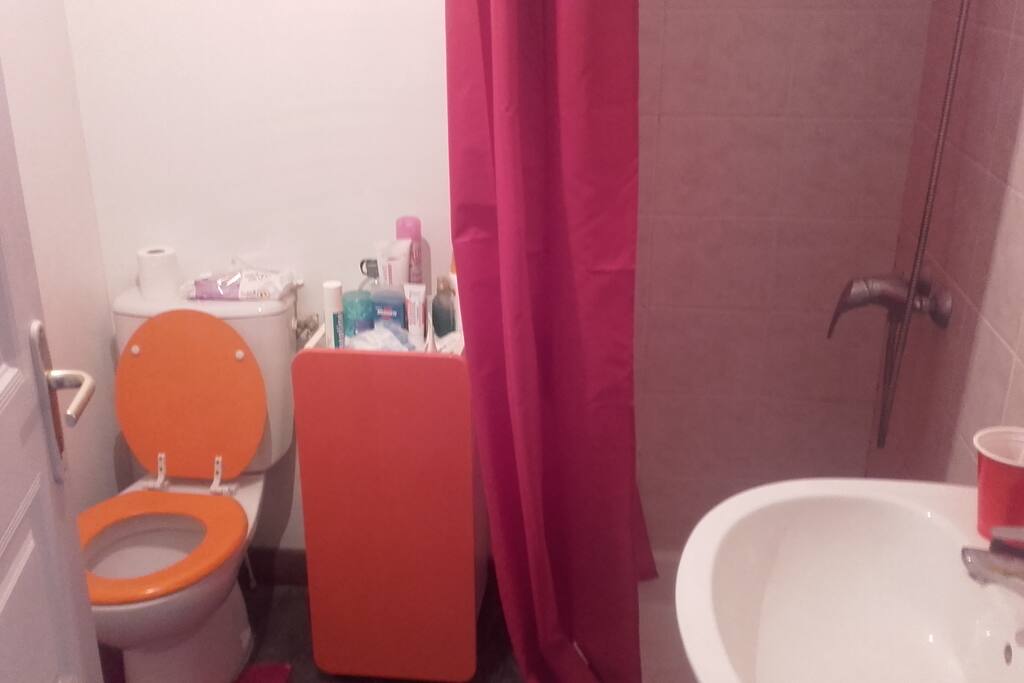 Petite salle d'eau jouxtant la chambre, fonctionnel !