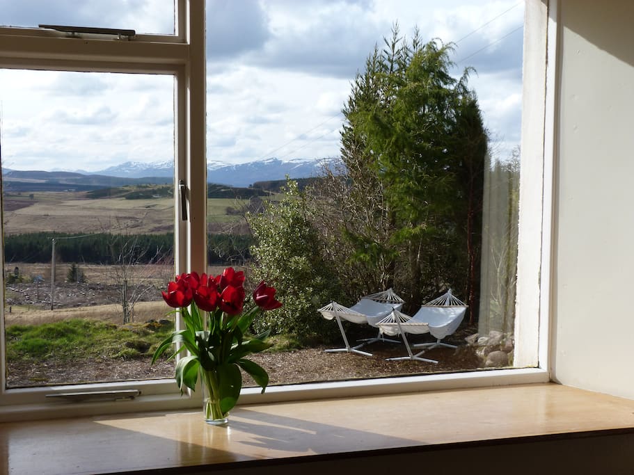 View from the lounge room.