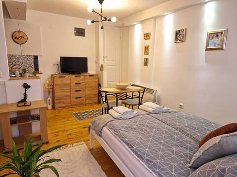 Cozy Studio Apartment in the Old Town