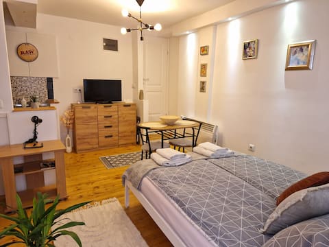 Cozy Studio Apartment in the Old Town