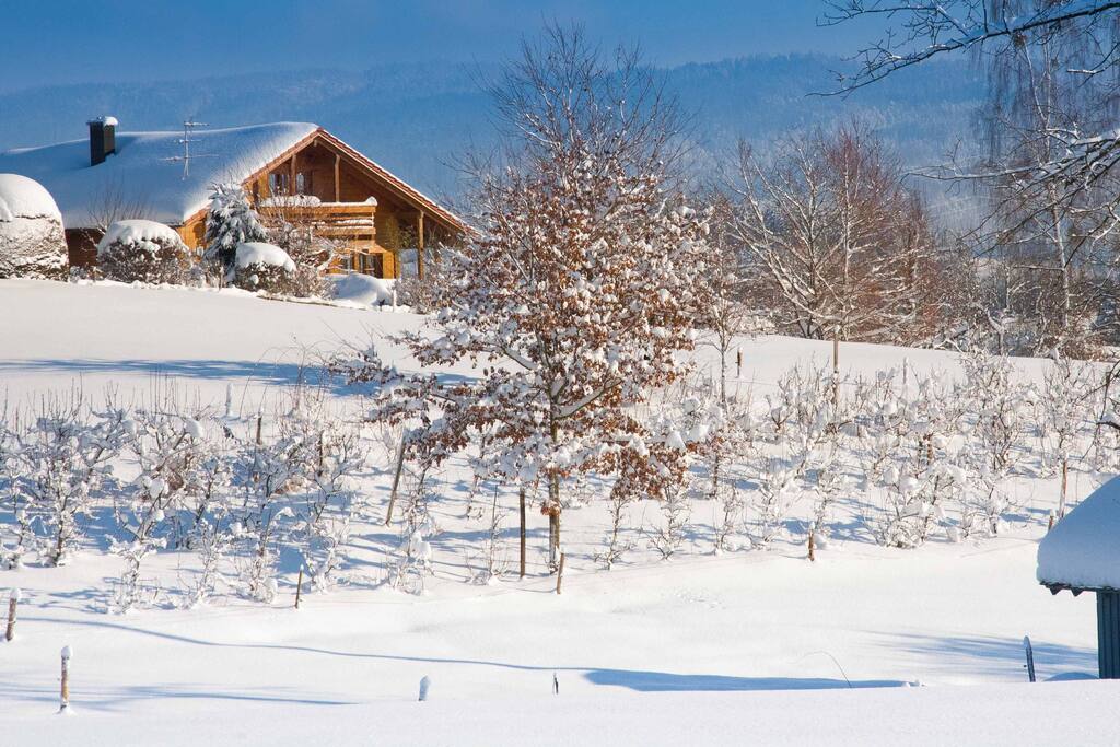 Ferienhaus Alpenpanorama Chalet mit 2 Ferienwohnungen