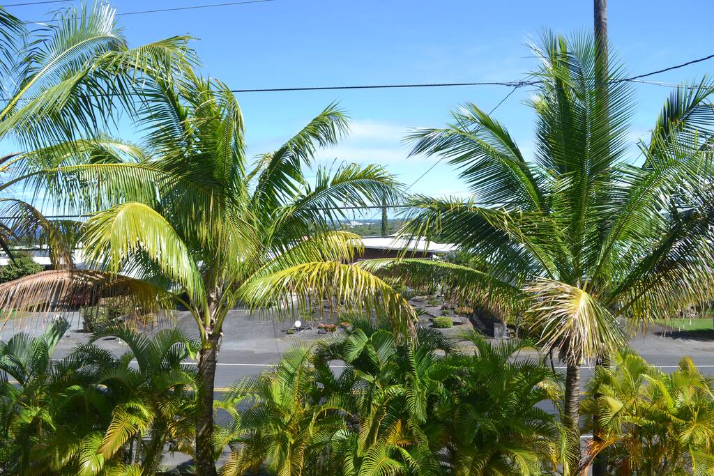 View from the Deck