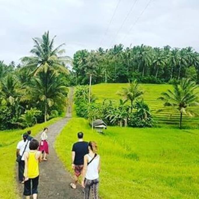 Trekking