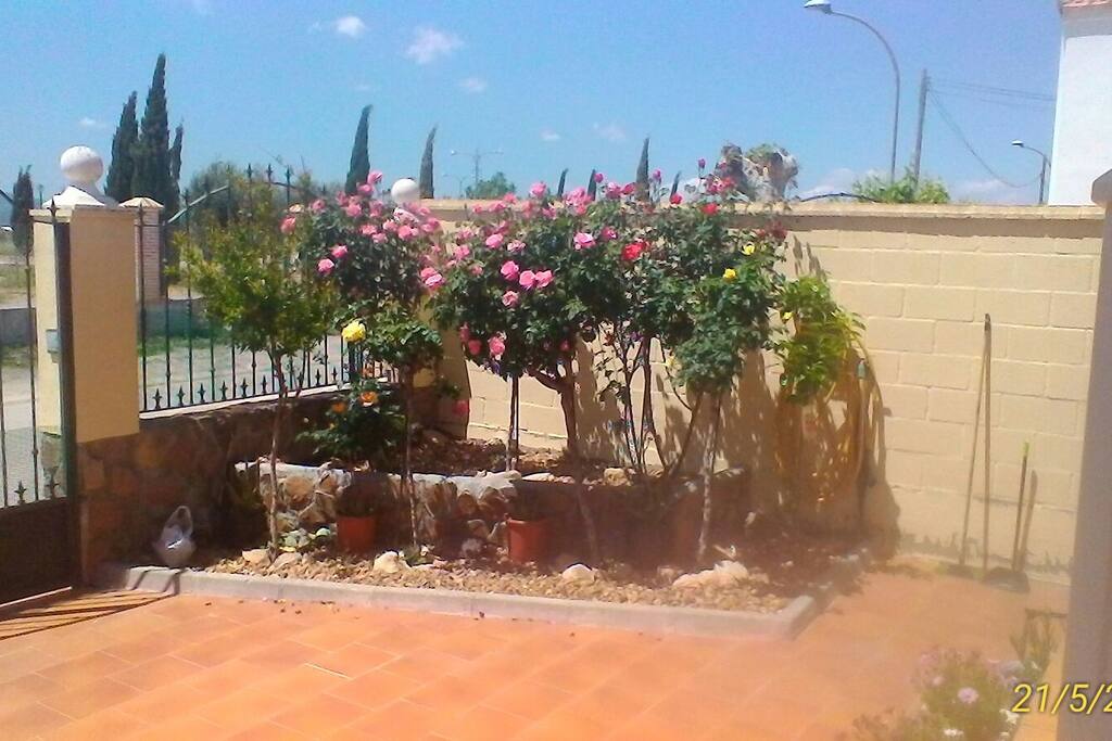 Zona común. La Rosaleda de Orgaz.