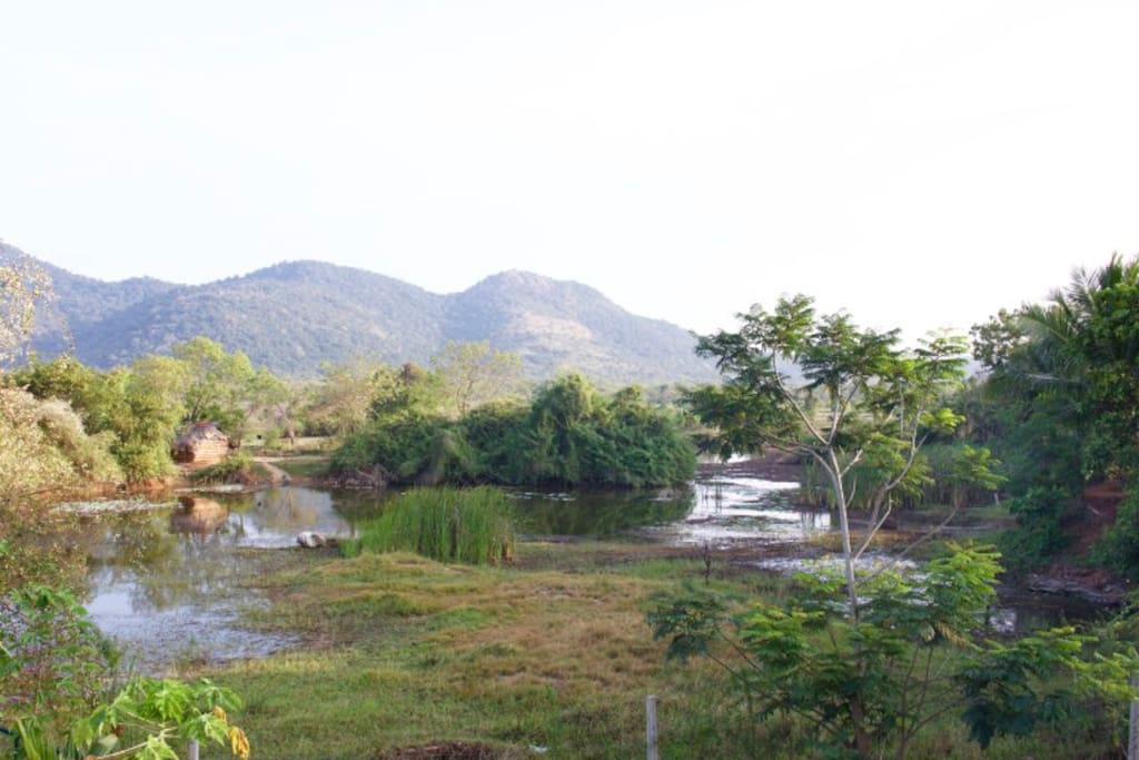 Lake View from the back of the Guest House
\