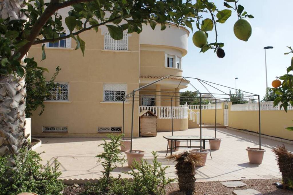 Exterior of the house and garden