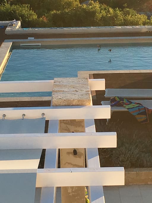 Vista della piscina dal terrazzo