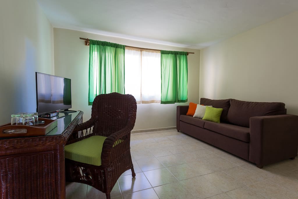 living room- sofa bed