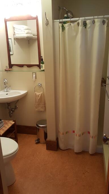 Private bathroom with shower.