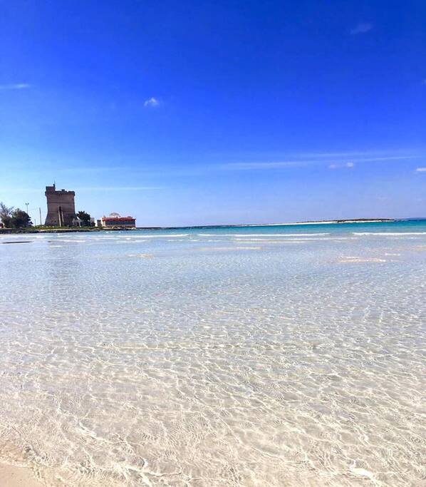 Mare