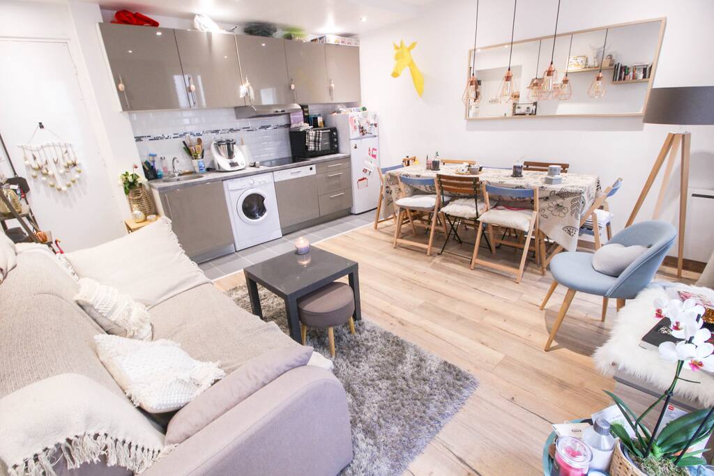Cocooning apartment with nice decoration