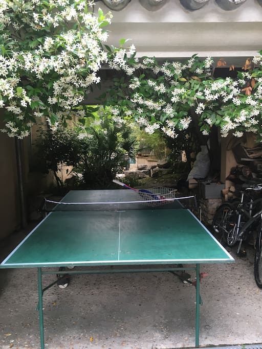 table de ping pong