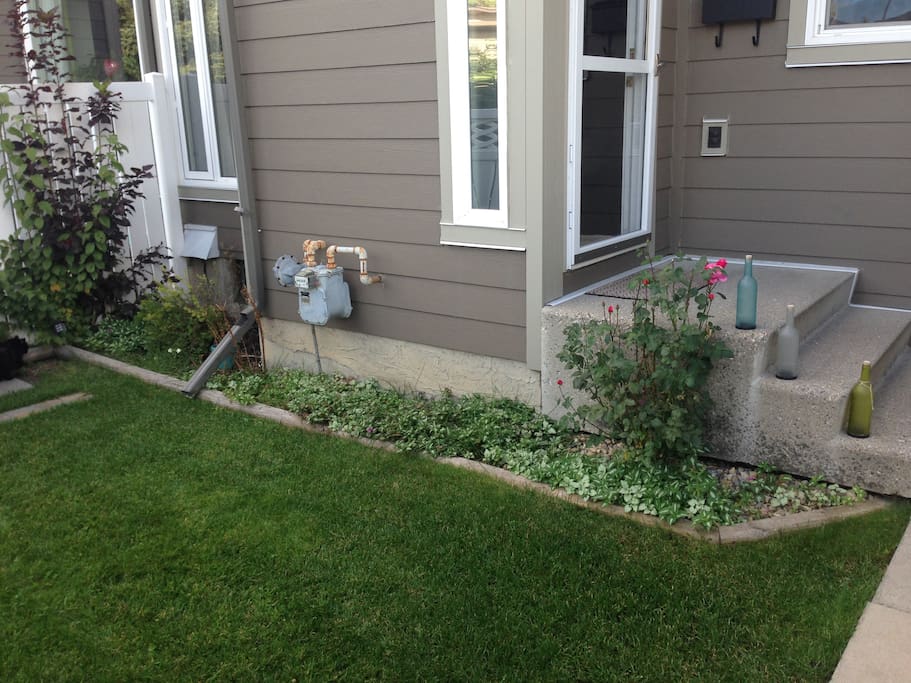Front yard