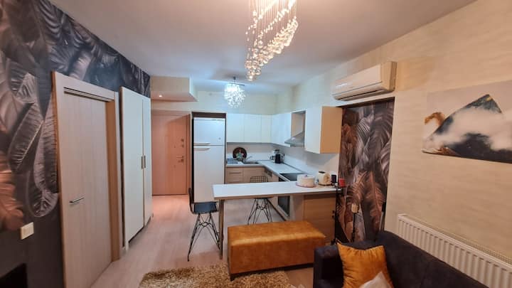 1 Oda 1 Salon Ev  Güvenlikli Havuzlu Sitede - Maltepe