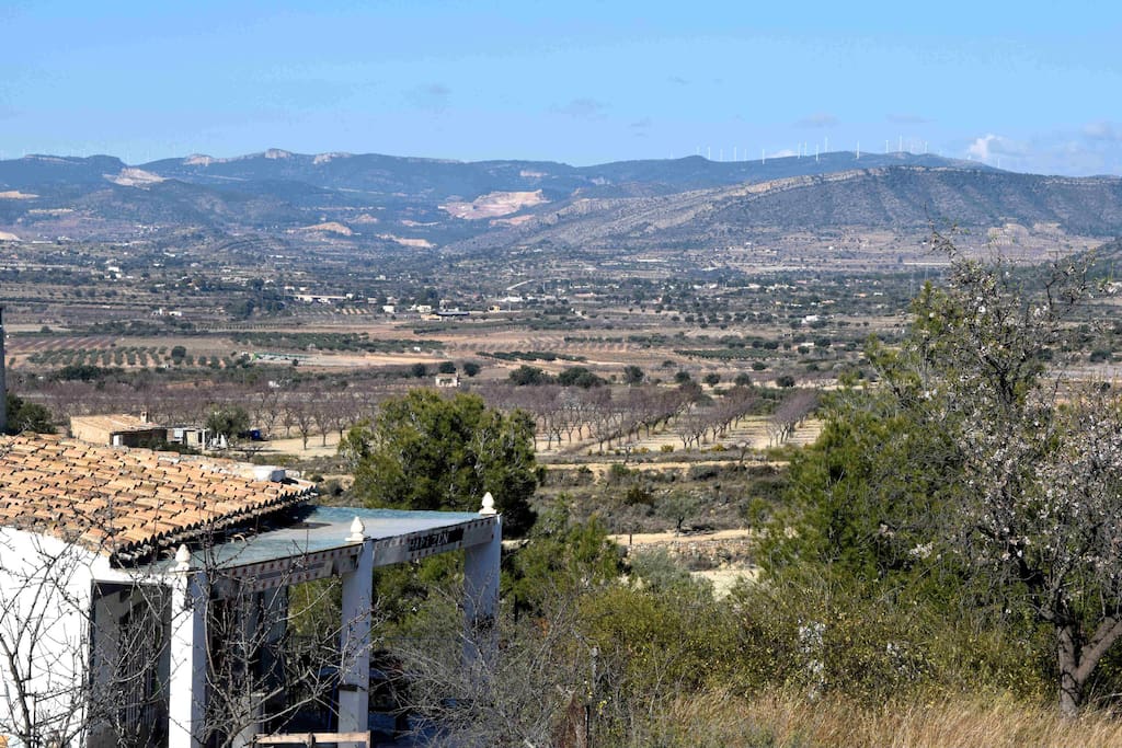 private cottage in totally secluded location surrounded with almond and olive trees, as far as the eye can see!