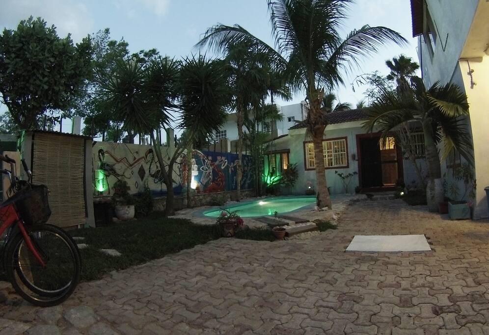 Garden and Pool light up at night!
