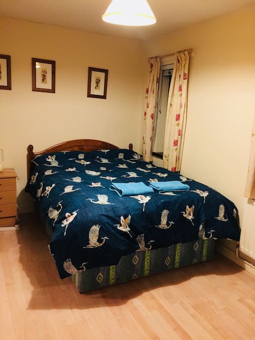 Room To Rent Near Queen S University Belfast Room To Rent Near Queen S University Belfast