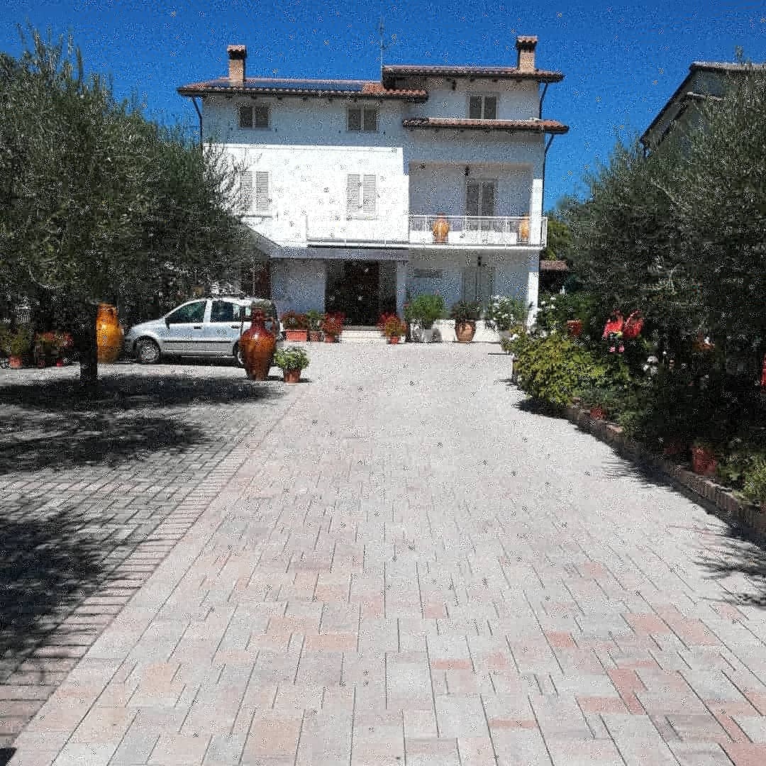 A charming two-story building is framed by olive trees and flowering plants. The driveway features a mix of potted plants and decorative items, leading to the entrance. A vehicle is seen parked nearby, with bright blue skies providing a serene backdrop.