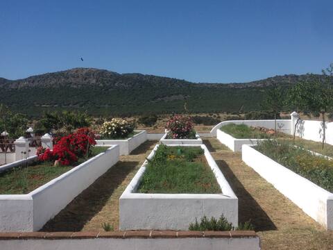 Extremadura farmhouse in pasture
