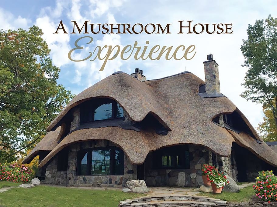 A true Mushroom House Experience begins with a storybook retreat...