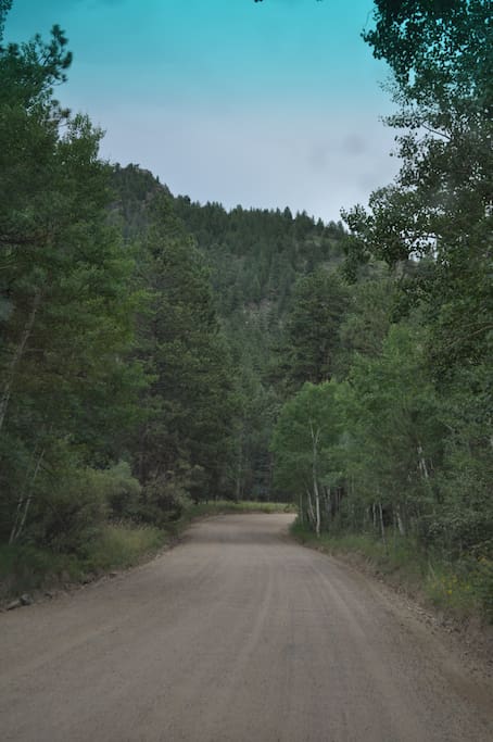 On the way up the mountain to the cabin.
