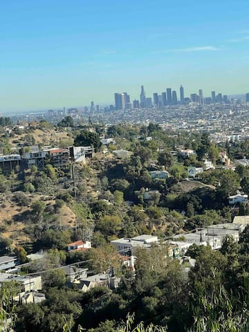 Hollywood Hills City & Canyon View Mid-Century