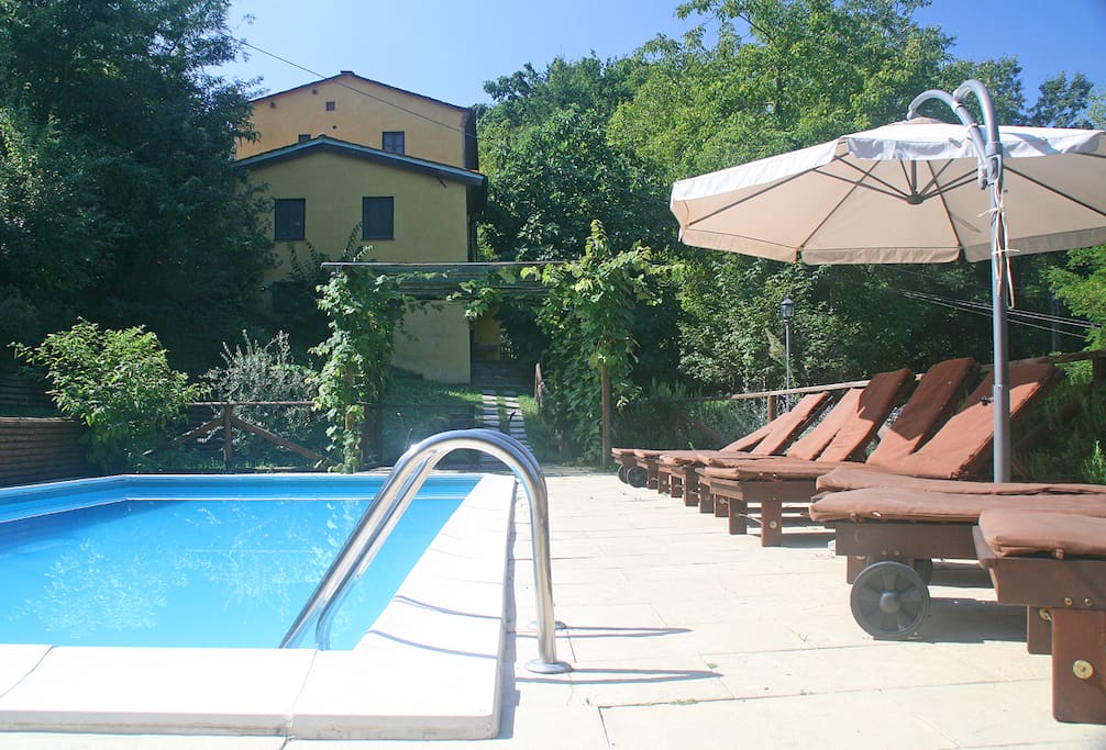 Houses from the pool