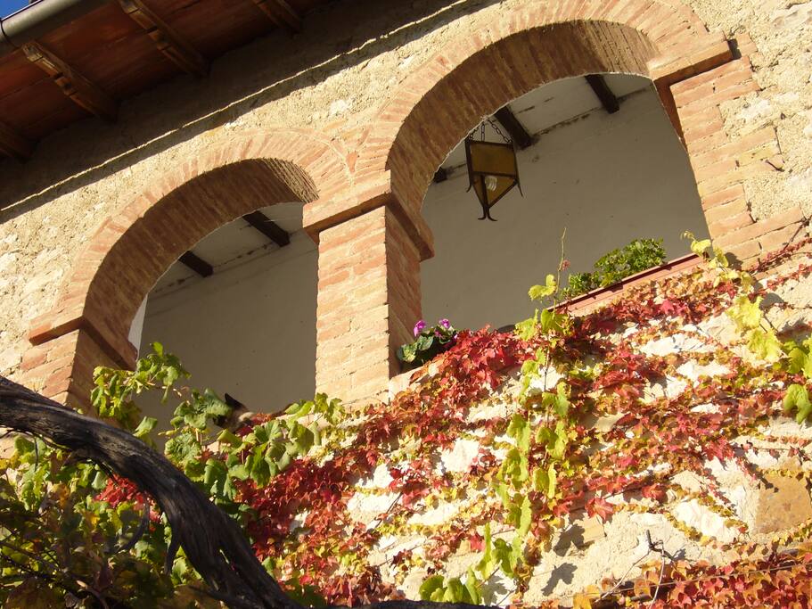 VERANDA FORESTA 2