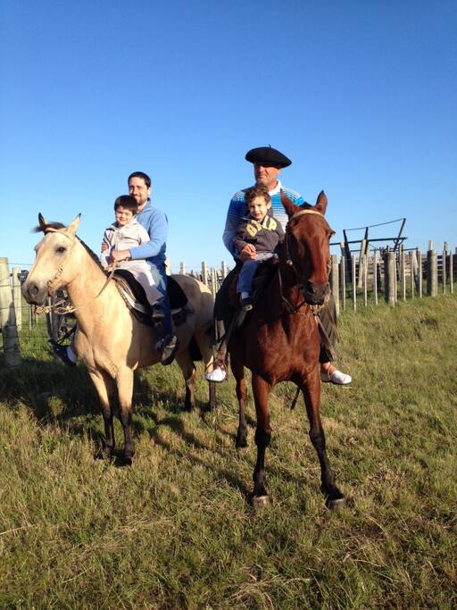 Enjoy horseback rides