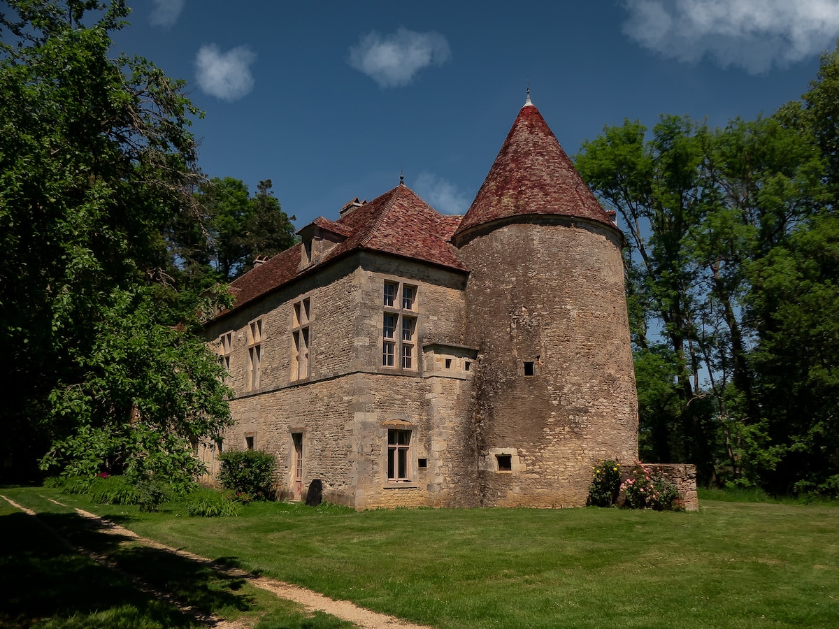 The exterior of a medieval Burgundian castle is showcased, featuring a stone facade with arched windows and a distinctive round tower topped with a red roof. Lush greenery surrounds the structure, and a clear blue sky enhances the serene atmosphere.