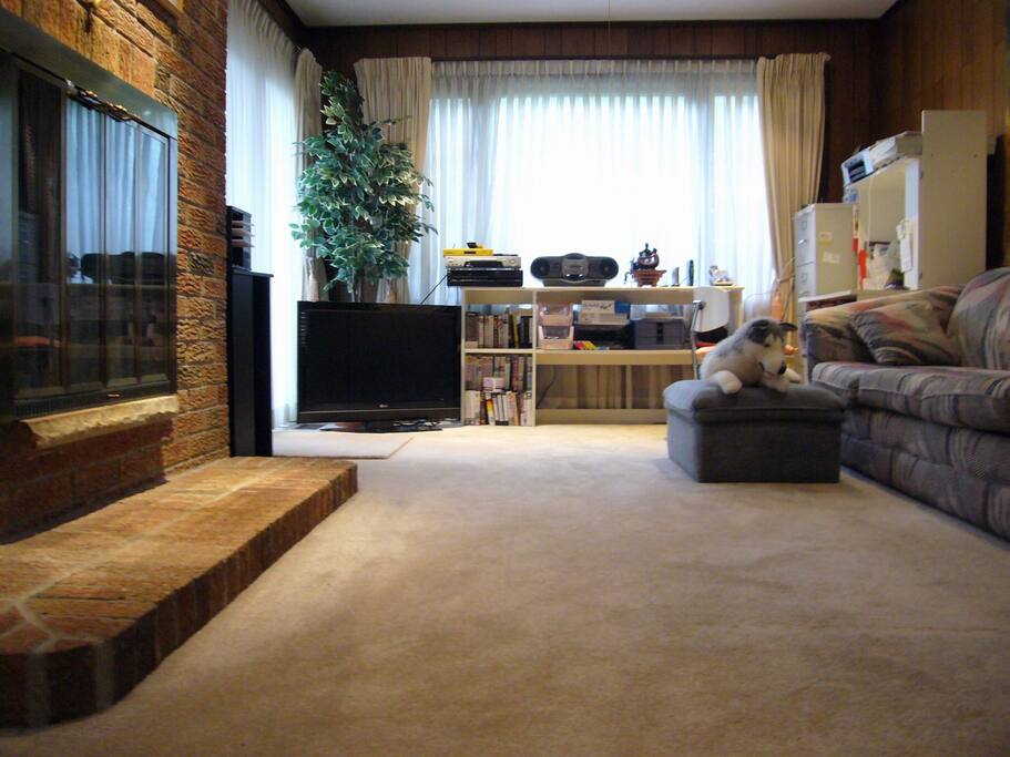 Shared livingroom with a puppy toy Husky.