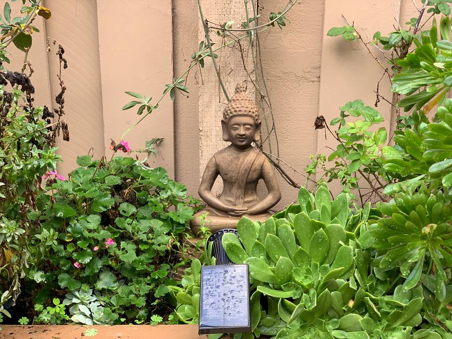 Zen Garden