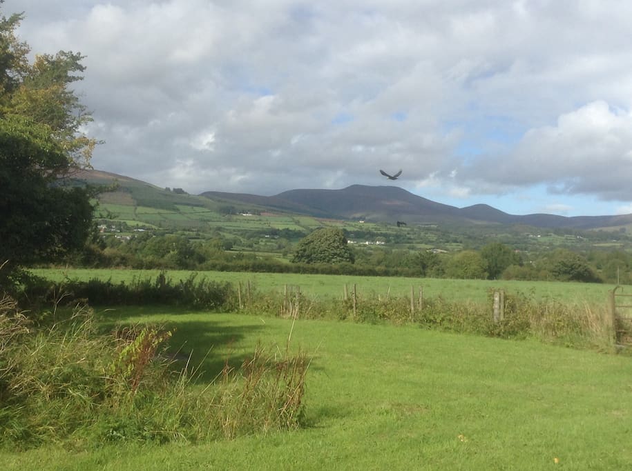 Stunning views of the Galtee mountains