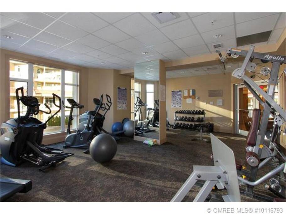 Gym of Complex