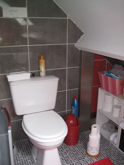 Toilette commun aux 2 chambres avec lavabo et douche