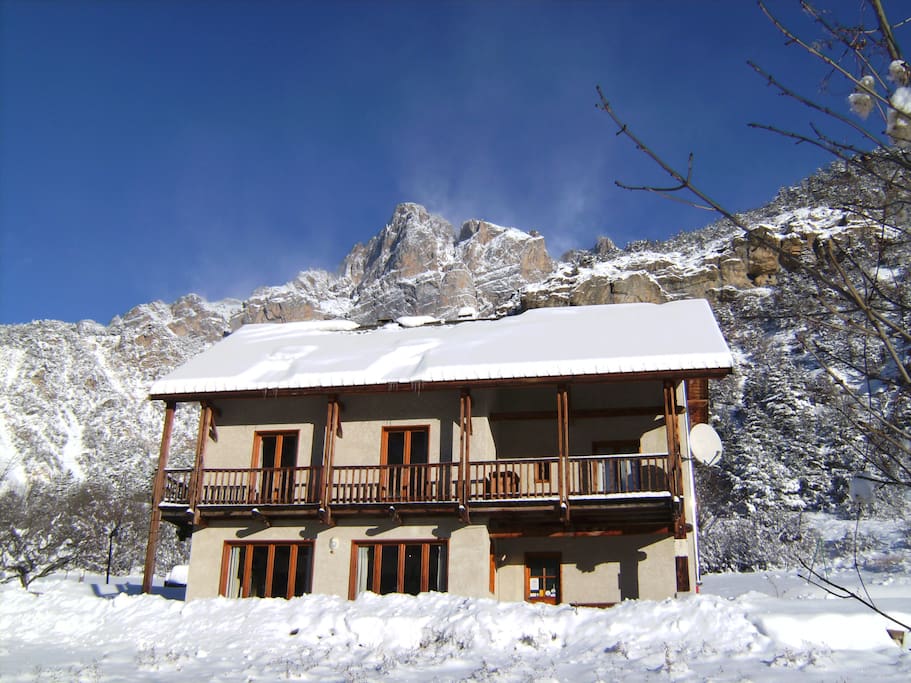 Winter scene