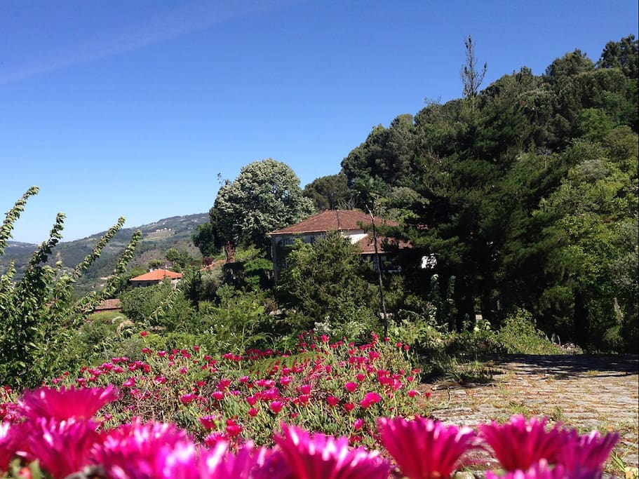 Paisagem... Pormenor da Quinta