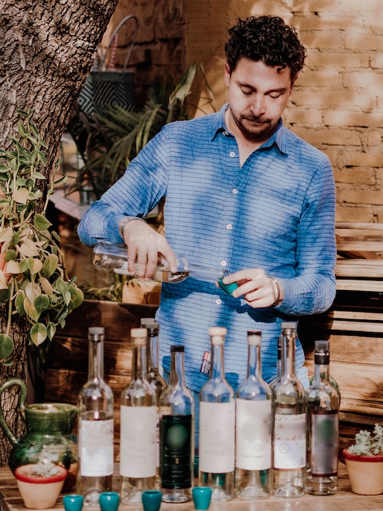 Show full-screen, host-provided image