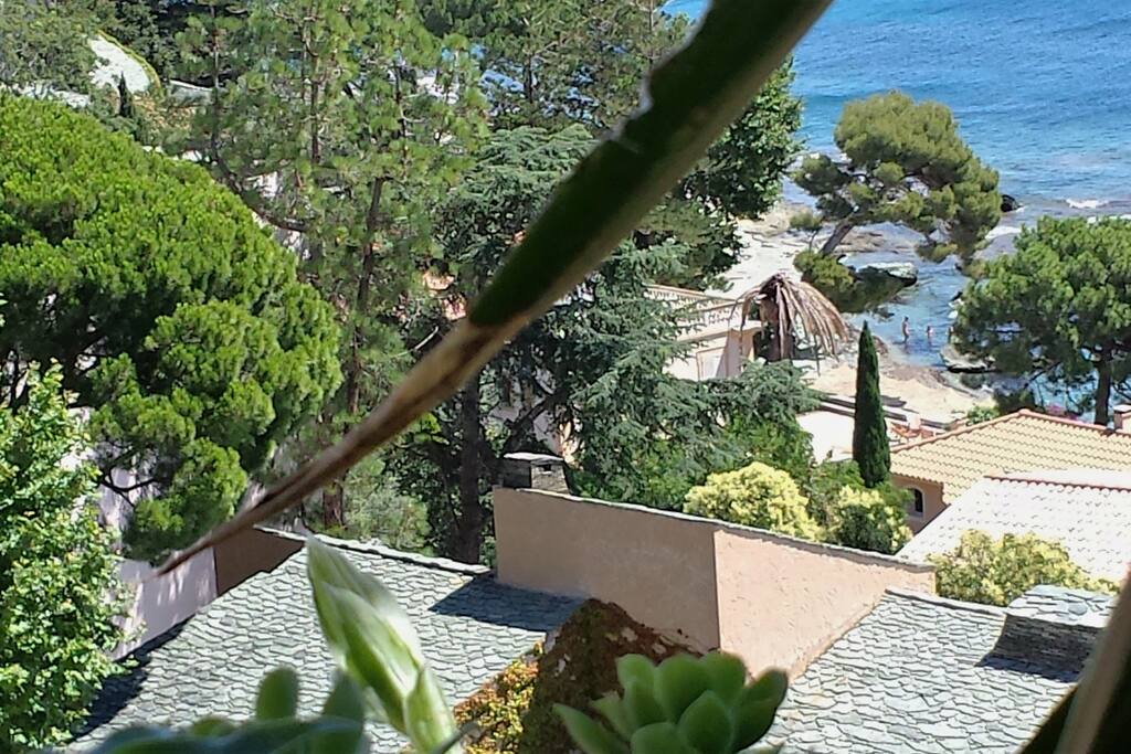 zoom de la vue sur la plage familiale