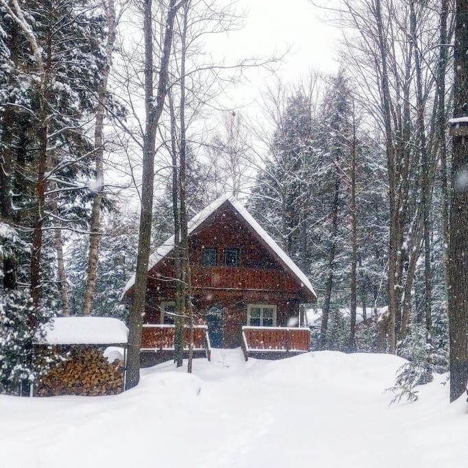 View in winter
