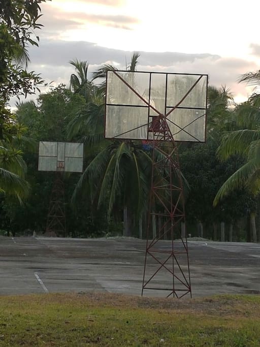 Basketball court