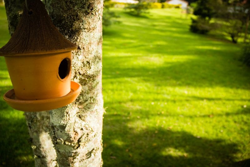 A clay birdhouse is positioned on a tree trunk, surrounded by a well-maintained green lawn. Sunlight casts gentle shadows across the grass, enhancing the natural serenity of the outdoor space.