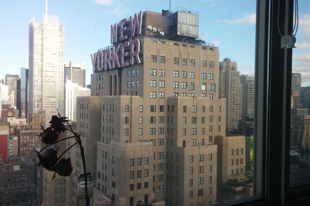 View from bedroom (daytime)