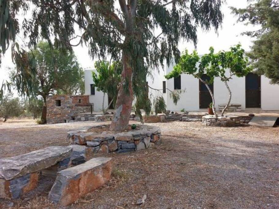 Τα studios από την πλευρά της εισόδου με την κοινόχρηστη αυλή. Σε πρώτο πλάνο το πέτρινο τραπεζάκι της αυλής.
