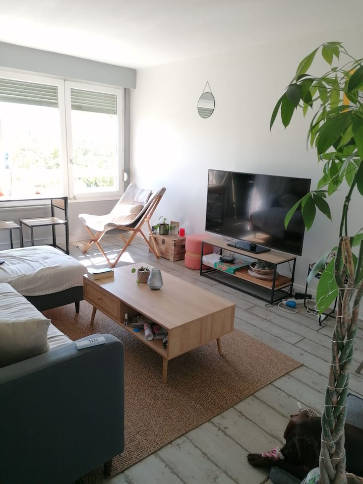 Lyon on the quays near Tête d 'Or and center Apartments for Rent in