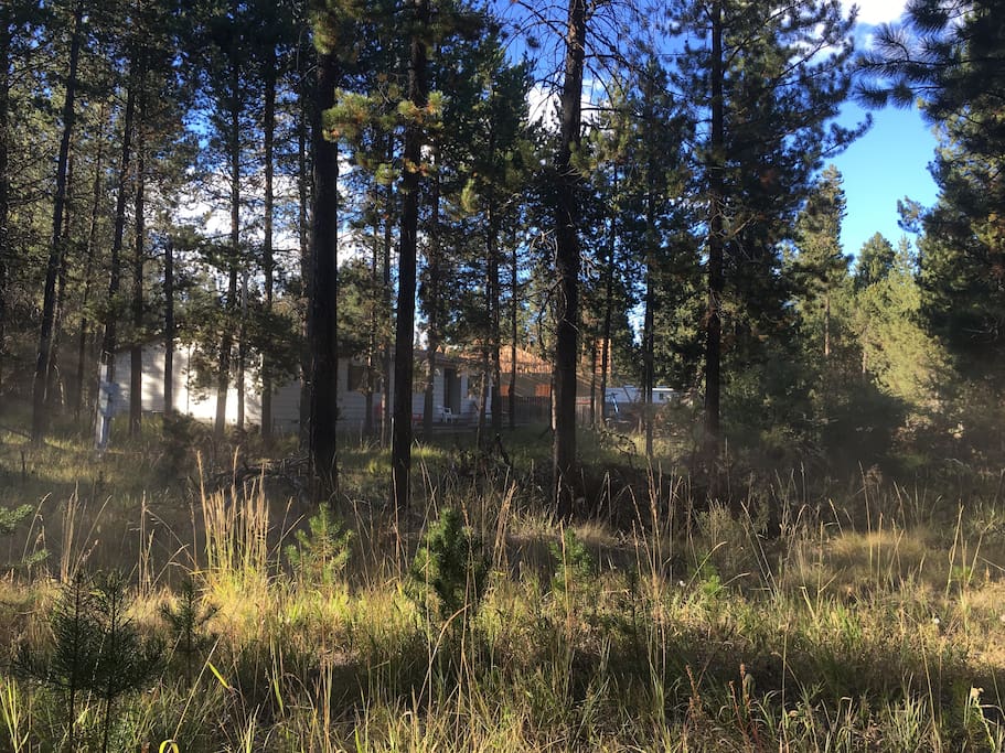 Looking at the front of the house from the adjacent lot